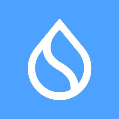 Sui Logo